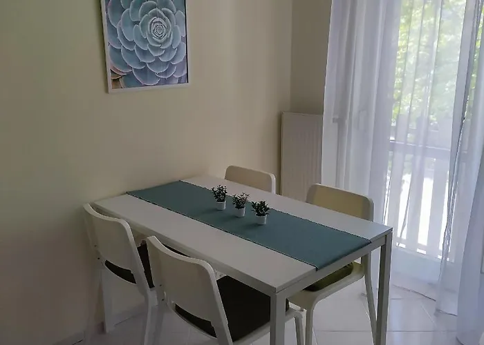 Zorka * Szegedin